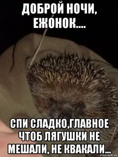 Чтоб не мешали