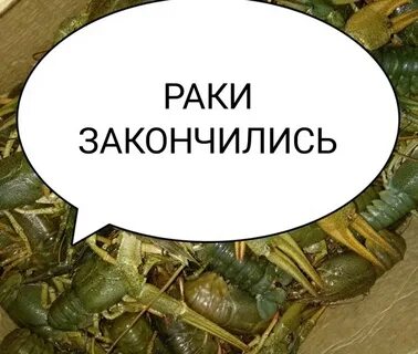 Заканчиваться поэтому