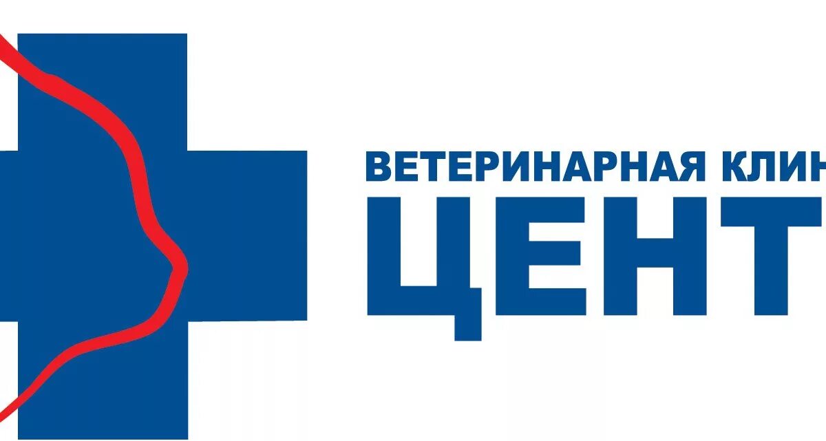 Ветклиники ярославль. 1. 1. Ветклиника центр сайт. Ветклиника центр сайт.