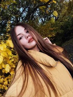 Шевченко ростов на дону
