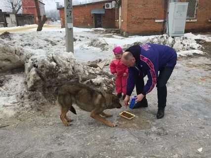 Кормить бездомных