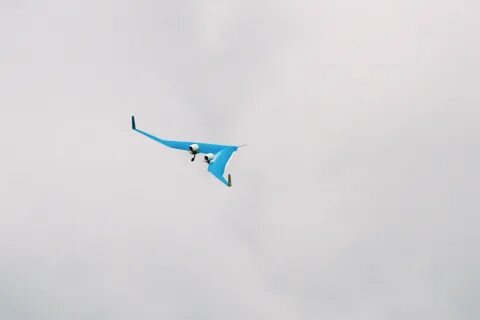 Flying v3