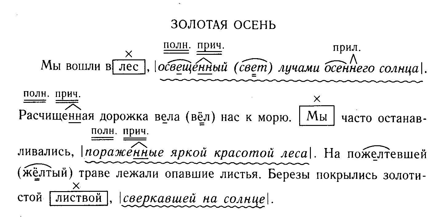 Лучом разбор. Графическое объяснение орфограмм. Графически обозначить орфограммы. Обозначь графически орфограмму. Как обозначить графические орфограммы.