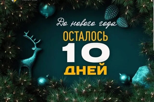 Совсем скоро Новый год. Давайте будем вместе вести отсчёт и приближать этот чуде