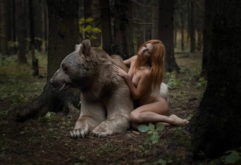 Секс Девушки И Настоящего Медведя