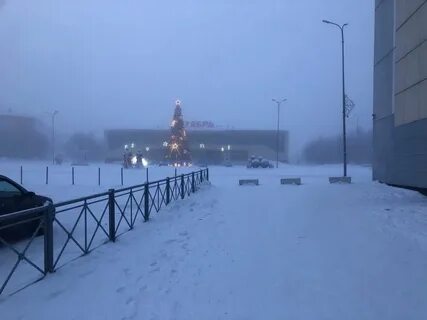 Пелена затянула