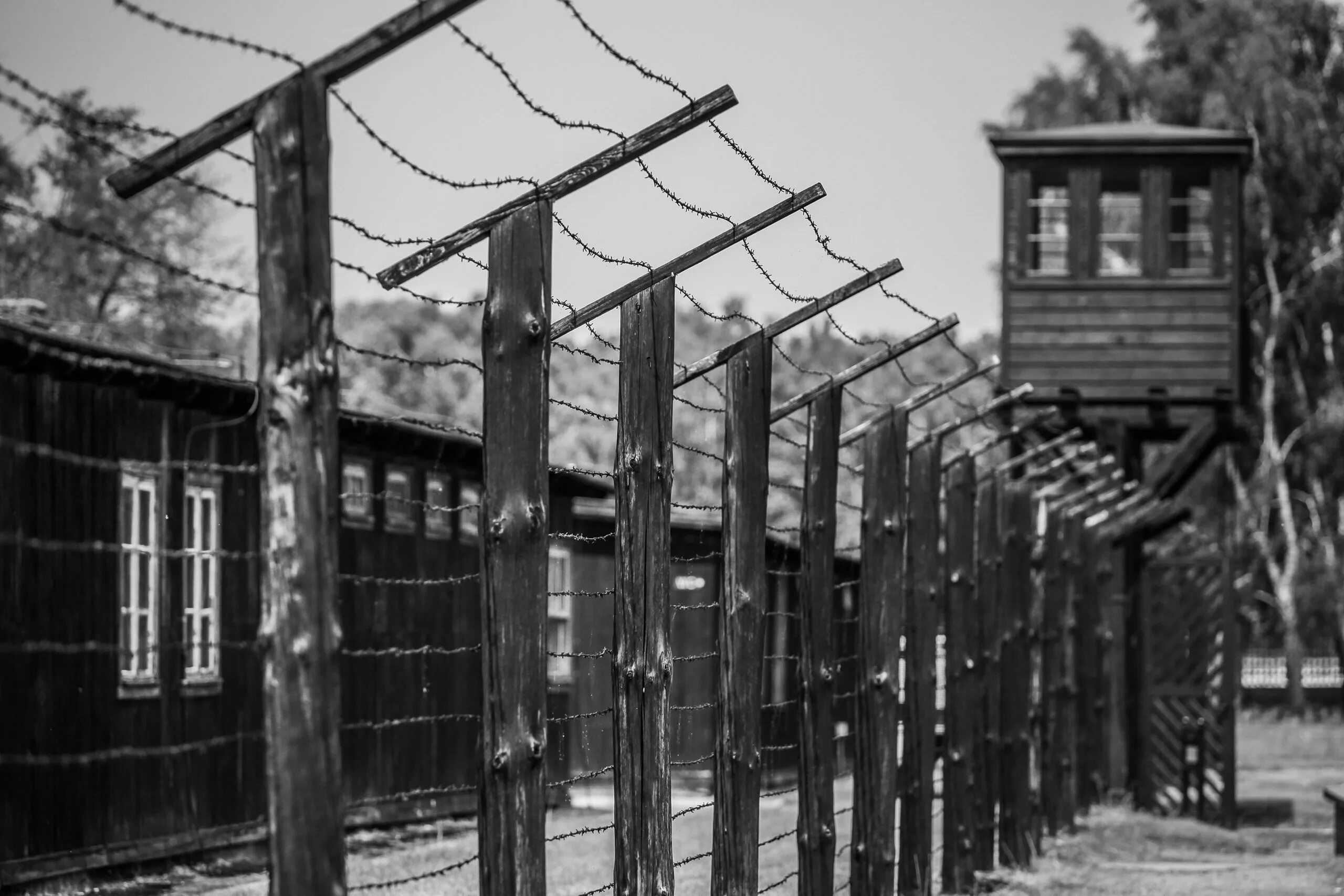 Берген-бельзен лагерь для заключённых. Концентрационный лагерь бухенвальд. Узники концлагеря бухенвальд дети. Включи концлагерь. Аушвиц бухенвальд концлагерь.