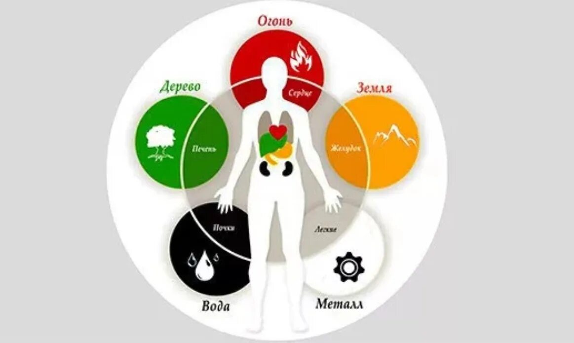 5 элементов человека. 5 Элементов китайской медицины. Теория у син пяти элементов. Теория Усин 5 стихий. Энергия Инь и Янь в теле человека.