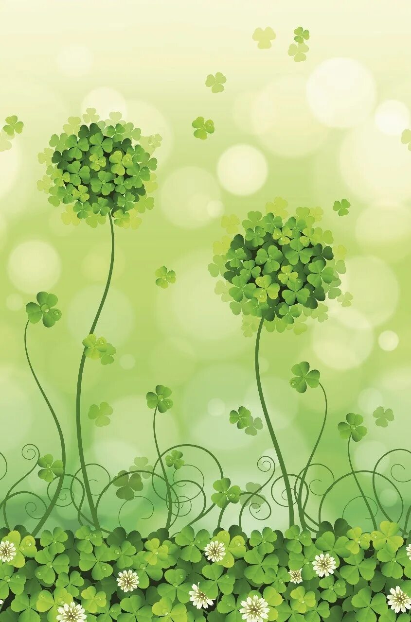 1925435, free wallpaper and screensavers for close up Цветок, Цветы, Фотографии 