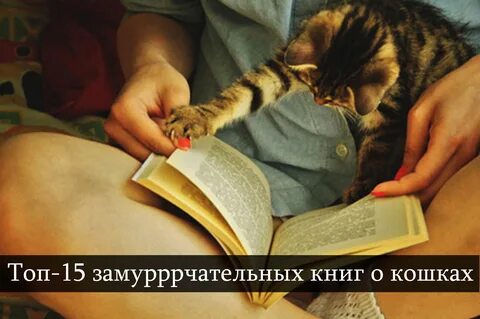 Видео чтоб читали