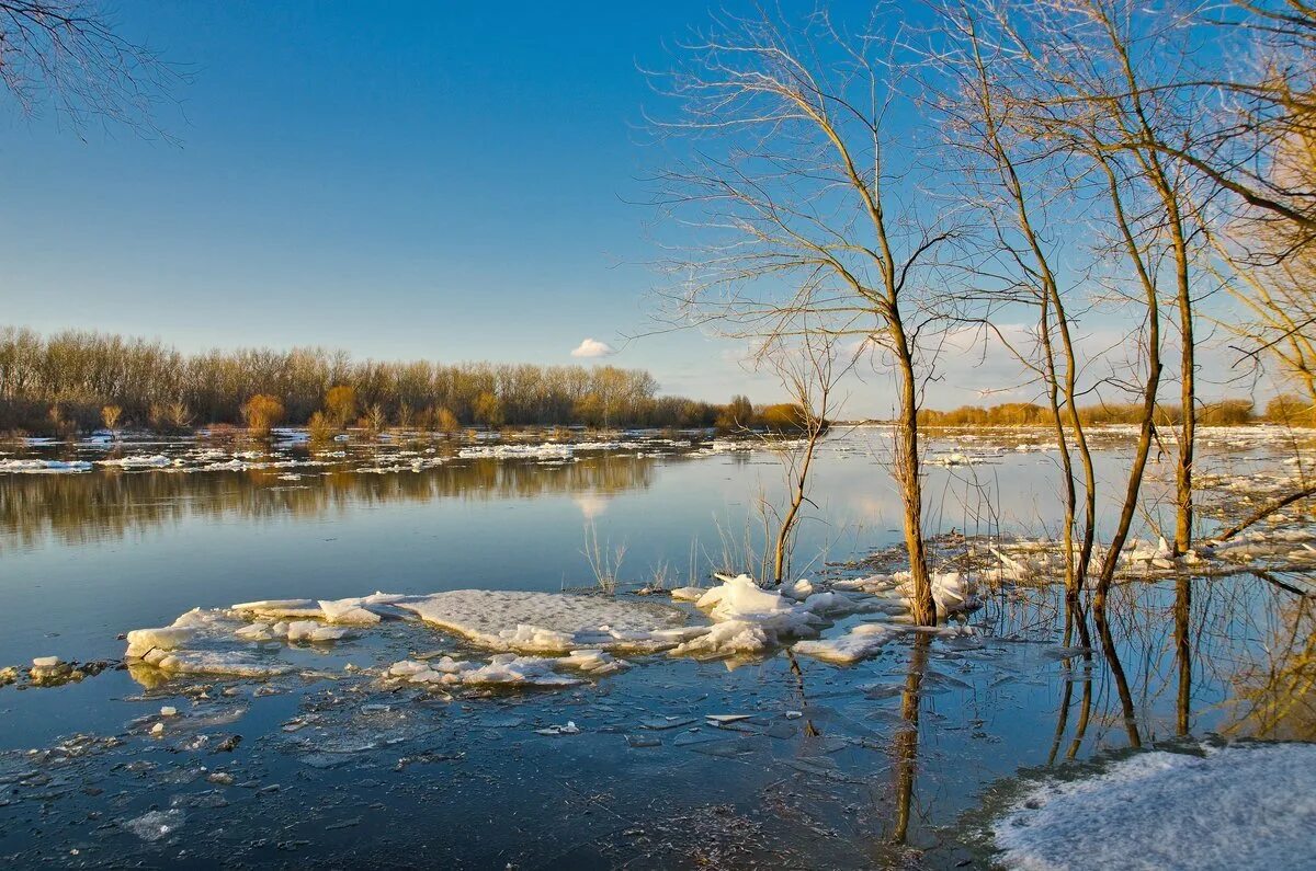 Озера разлив реки. Весенний пейзаж. Весенние воды.