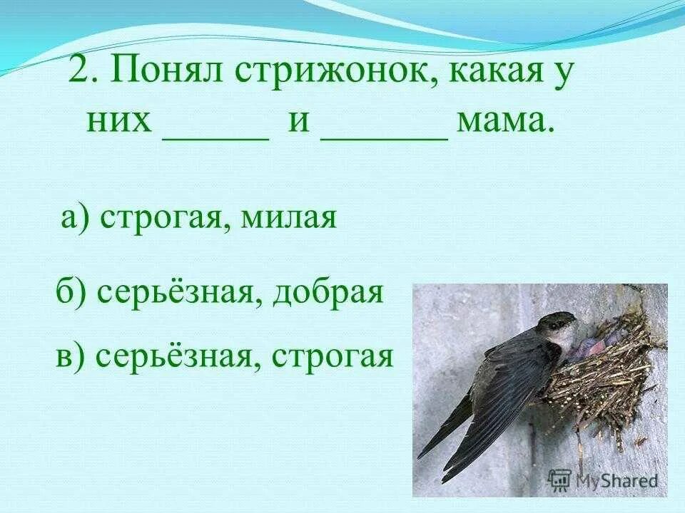 Презентация в. Астафьев " Стрижонок скрип". В П Астафьев Стрижонок скрип план. План рассказа Стрижонок скрип. Астафьев Стрижонок скрип план. План по тексту стрижонок скрип