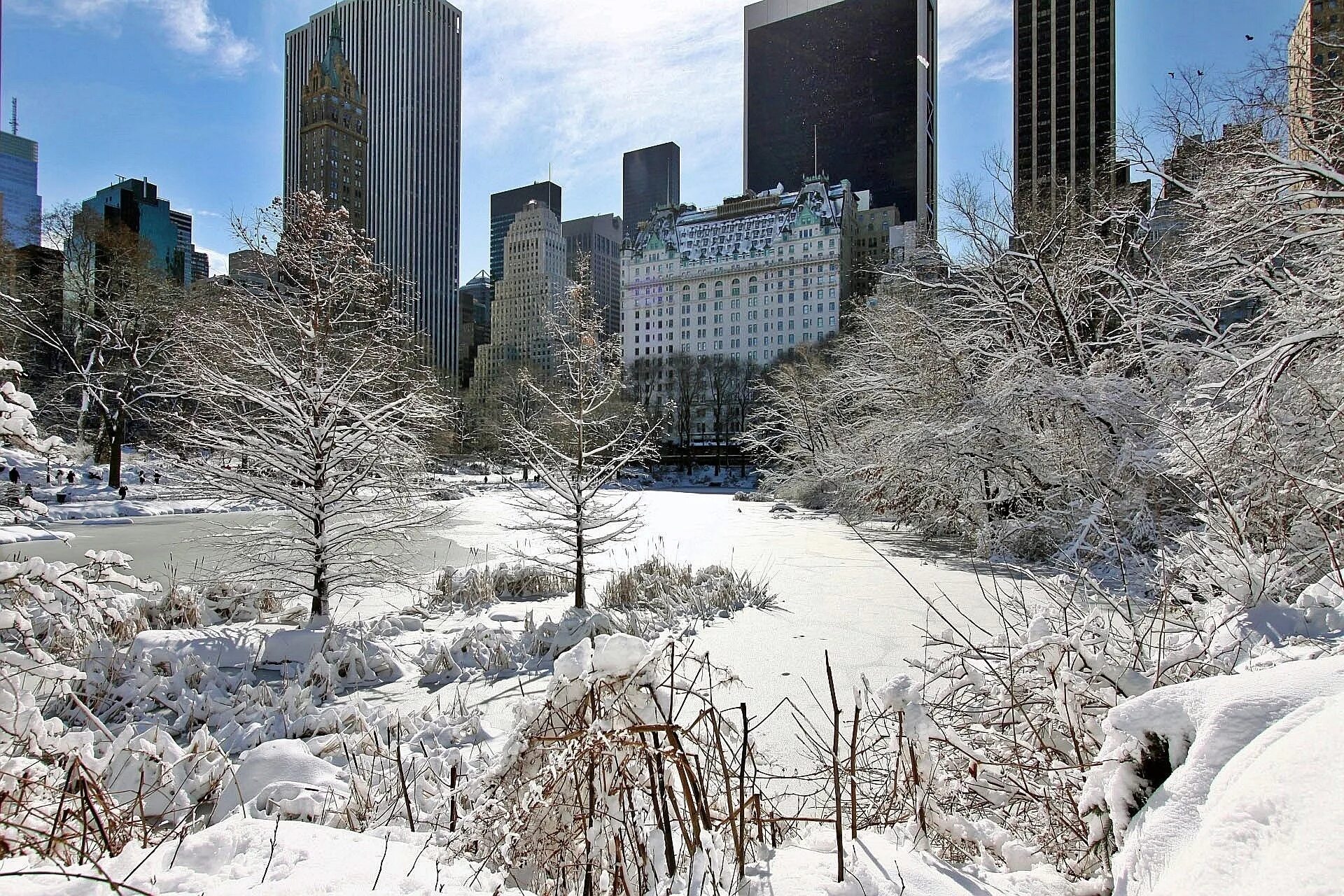 Америка зимнее время. Централ парк Нью Йорк зима. Зимний Центральный парк Нью-Йорк. Централ парк Нью-Йорк зимой. Центральный парк Манхеттен Нью Йорк зима.