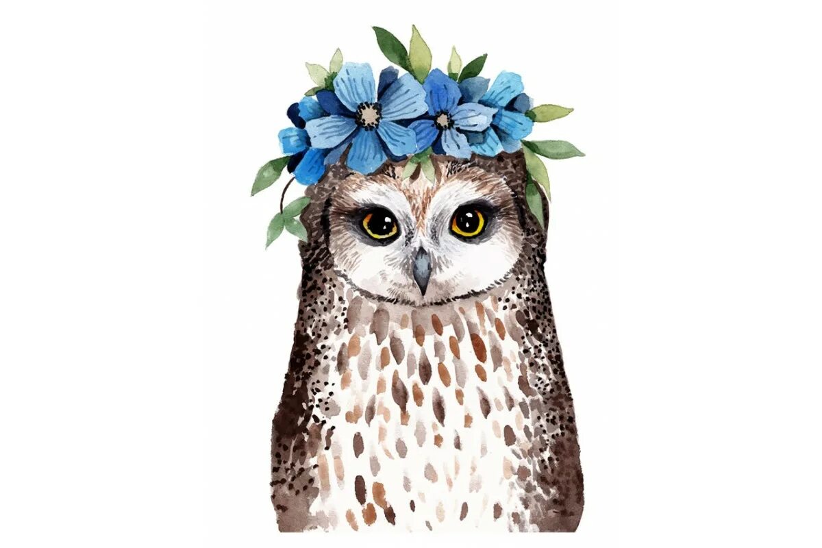 сова обои. милые совушки. реклама совушек. реклама совушек. совушки.