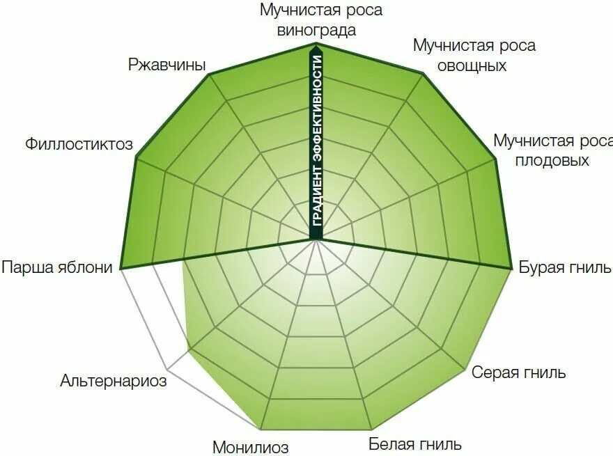 Фунгицид луна купит. Луна Транквилити фунгицид. Луна экспириенс. Луна Транквилити инструкция. Баковая смесь Луна экспириенс.