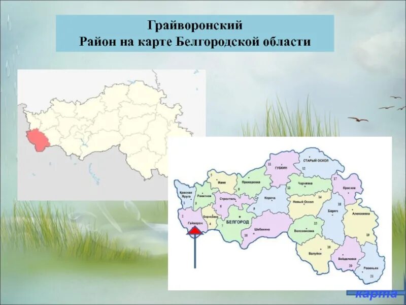 Грайворонский район Белгородской обл на карте. Белгородская область на карте. Карта Белгородской области с районами. Грайворонский район Белгородской области на карте.