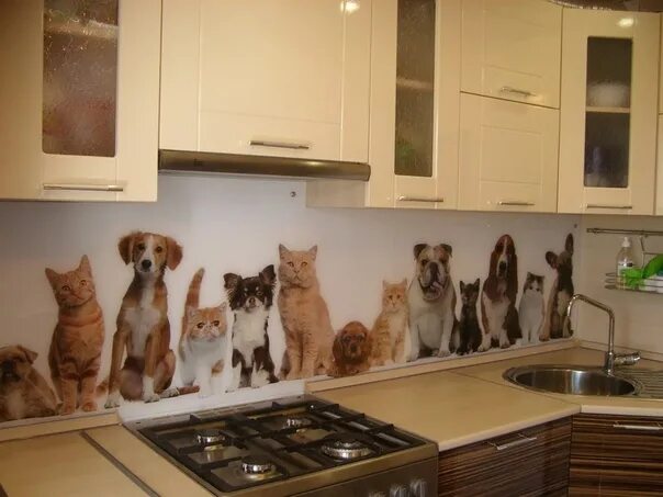 Cats kitchen. Кошка в фартуке на кухне. Кухня с фартуком котики. Кухонный фартук с котиками. Фартук для кухни с животными.