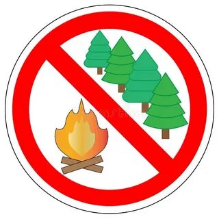 Где в лесу запрещено разводить костры