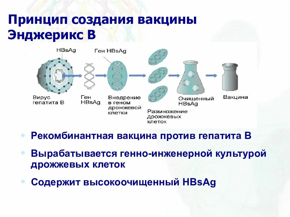 Технология вакцин. Схема действия вакцины. Рекомбинантные генно-инженерные вакцины. Методы создания вакцин. Создание вакцин схема.