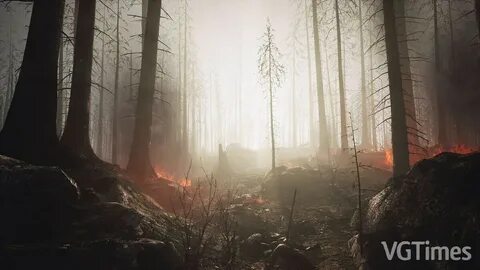 Trail of ayash обзор