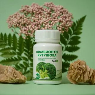Пробиотики кутушова