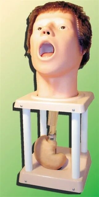 Фантом головы. Фантом головы. Медицинские манекены-тренажеры. Медицинские манекены-тренажеры. Манекен для зондирования.