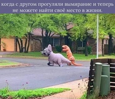 Смешные картинки и другие приколы