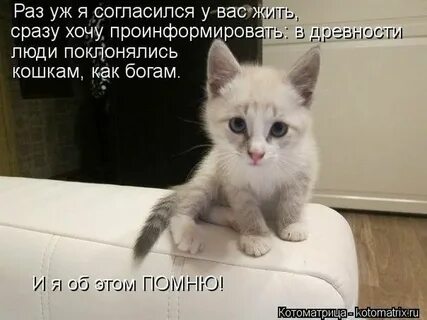 Живет одновременно