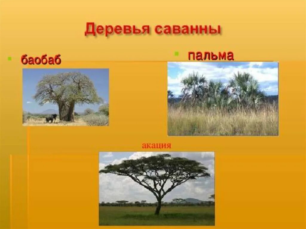Саванна 3 класс