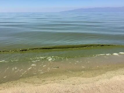 Вода в байкале сейчас