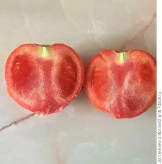 Семена пожарского