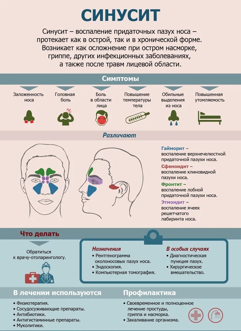 Симптомы гайморита у взрослых без температуры признаки