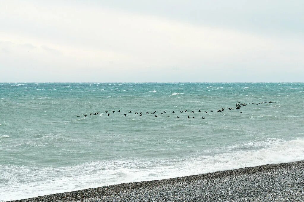 Вода в море сухум. Вода в море сухум