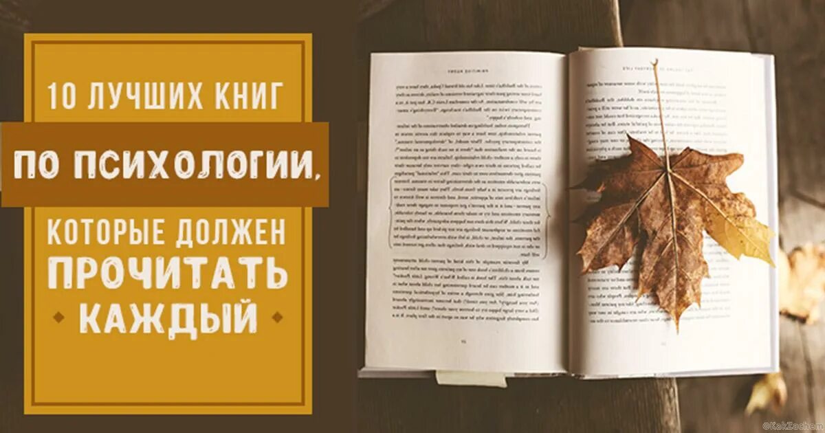 Интересные психологические книги. Книга психолога. Хорошие книги по психологии. Книга по психологии которую должен прочитать каждый. Хорошие мысли о книгах