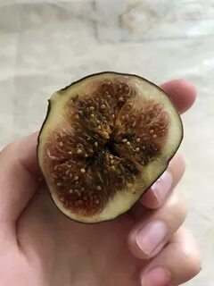 Какой должен быть инжир
