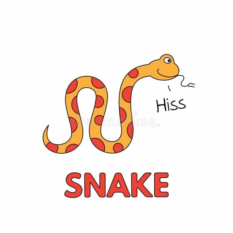 Змея карточка на английском. Змея карточка для детей. Животные на английском для детей Snake. Слово змея. Английские слова змея