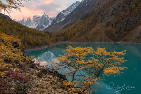 Пейзажи горного алтая