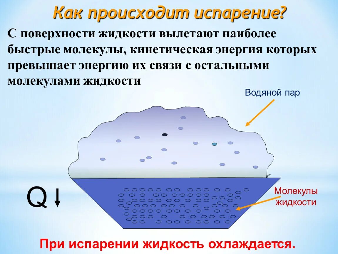 При испарении воды энергия. Процесс испарения физика 10 класс. Как происходит испарение. В процессе испарения воды что происходит?. Описать процесс испарения.