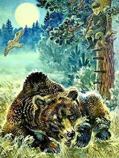Much bears