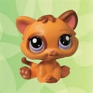 Kineto pet