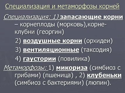 Дифференциация корня