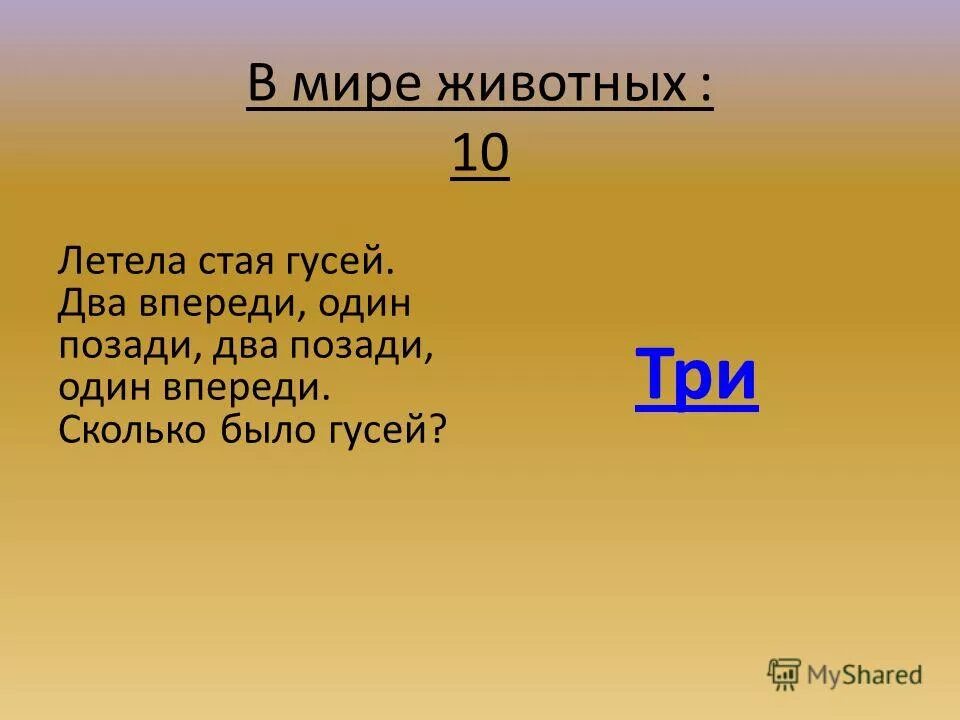 Впереди 1. Впереди 1
