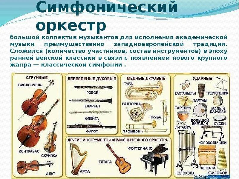 Какого инструмента нет в классическом академическом оркестре. Виды симфонического оркестра. симфонический оркестр состав инструментов. виды оркестров. виды инструментов в оркестре.