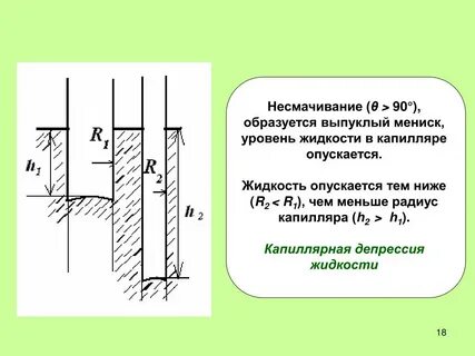 Выпуклый мениск
