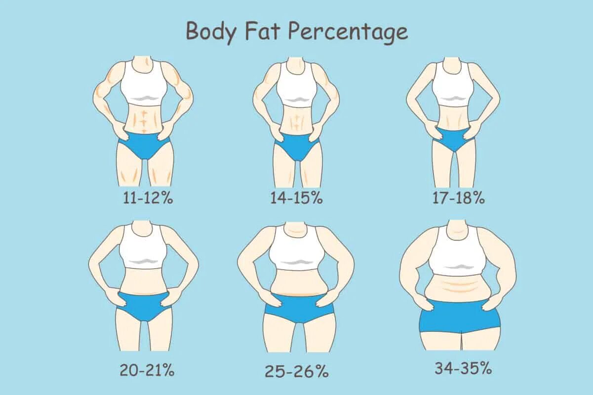 Be fat codes
