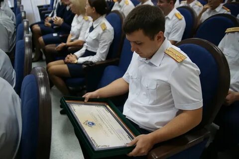 Органы прокуратуры следственный комитет