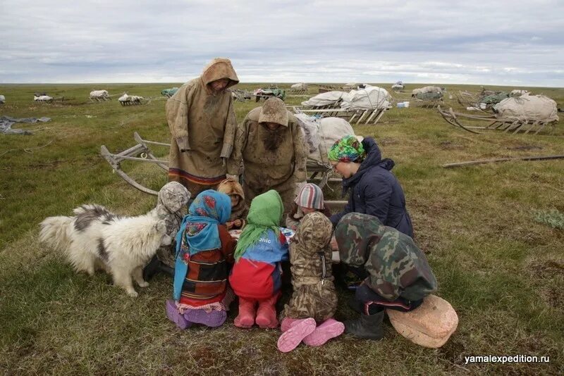 Два населенных пункта в тундре. Ненцы в тундре. Ненцы кочевые тундра. Ныда ненцы. Жители тундры.