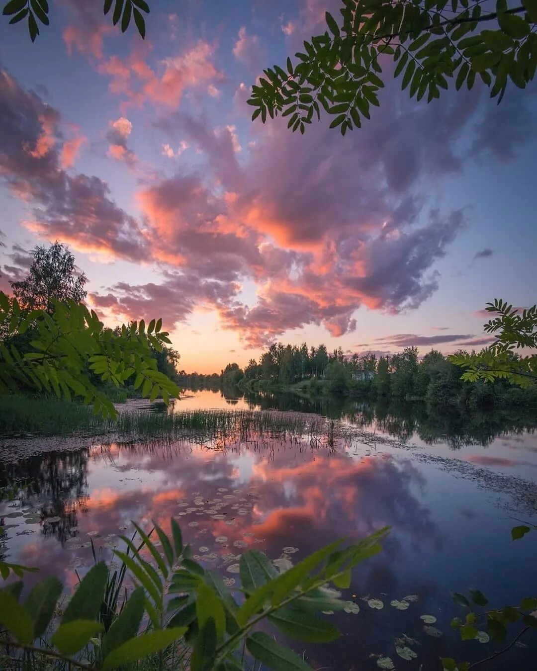 В реку смотрят облака. Jukkarisikko. Природа Инстаграмм. Красивый летний закат и природа для истории ВК. Фото Jukka Risikko.