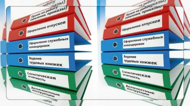 Кадровое делопроизводство. Кадровые документы. Учетная кадровая документация. Бухгалтерия папки. Организация общих папок