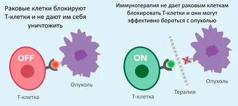 Центр иммунной и таргетной терапии